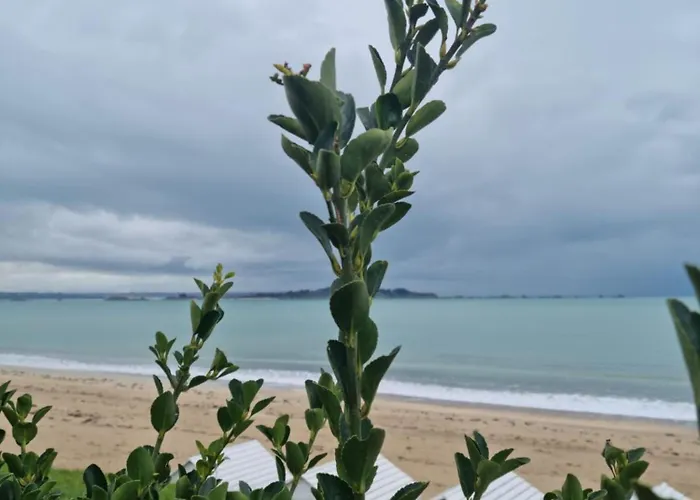 Lagune Elegante Centre Spacieux Et A 5 Min De La Plage